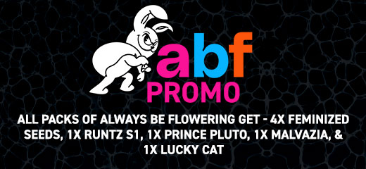 ABF Promo