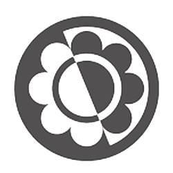 Autoflowering Cannabis Seeds