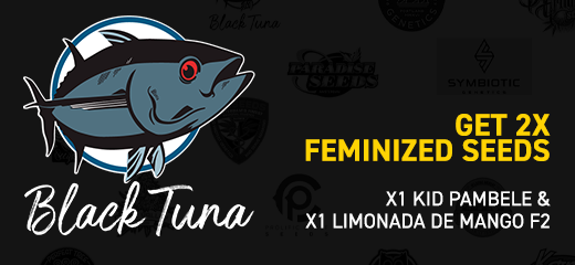 Black Tuna Seeds Promo